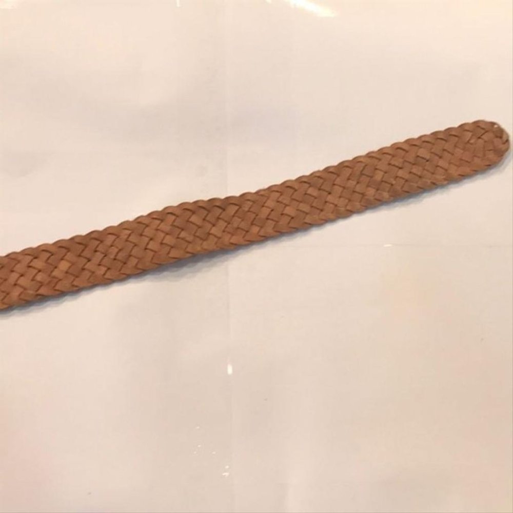 Fossil Belt - Picture 6 of 8